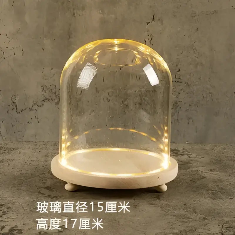 Glass bell jar terrarium with led fairy lights bedroom decor