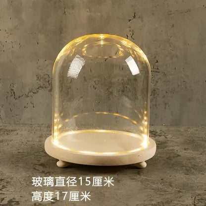 Glass bell jar terrarium with led fairy lights bedroom decor