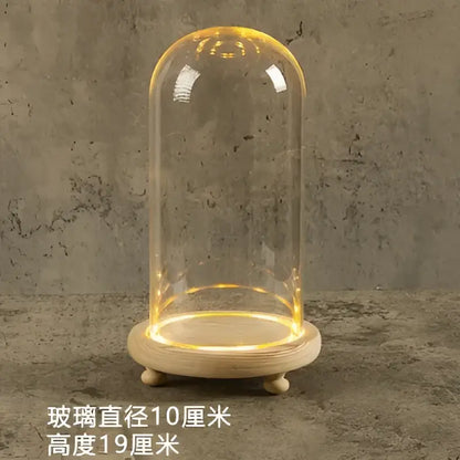 Glass bell jar terrarium with led fairy lights bedroom decor