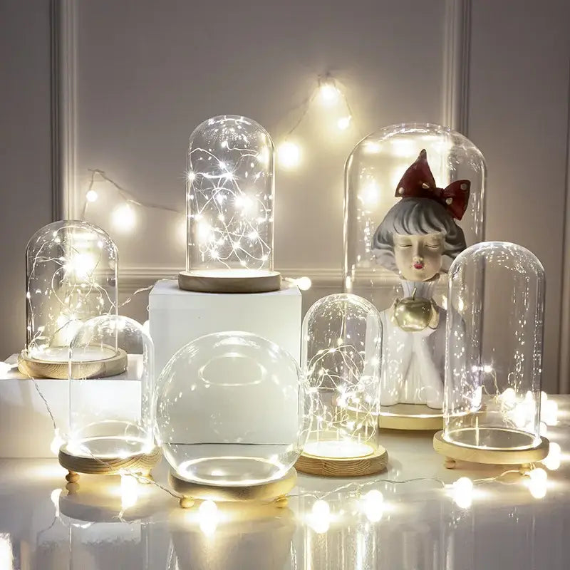 Glass bell jar terrarium with led fairy lights bedroom decor