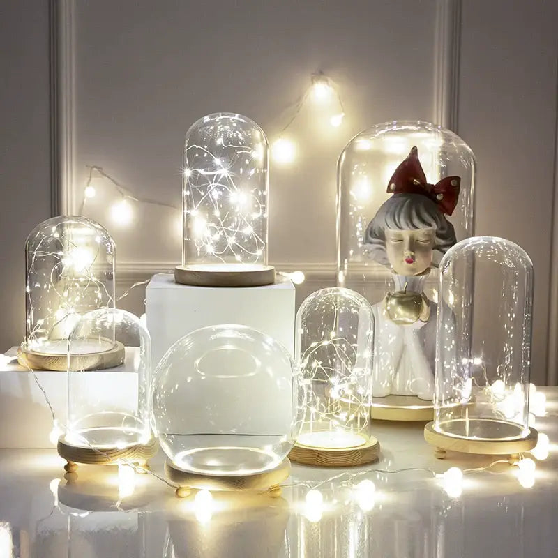 Glass bell jar terrarium with led fairy lights bedroom decor