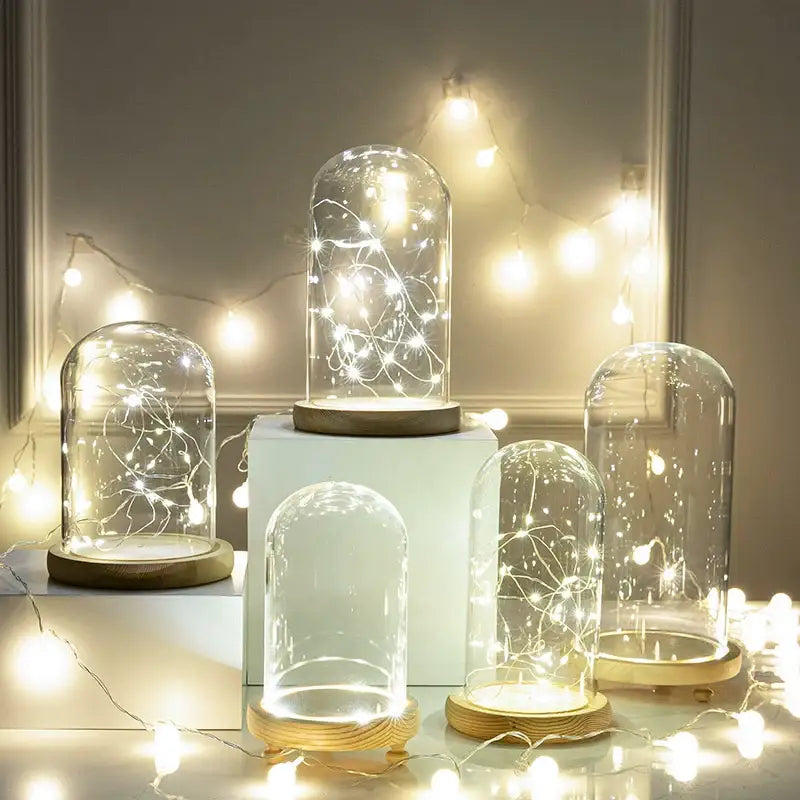 Glass bell jar terrarium with led fairy lights bedroom decor