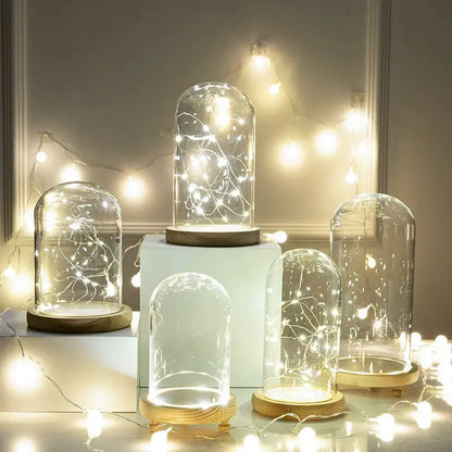 Glass bell jar terrarium with led fairy lights bedroom decor