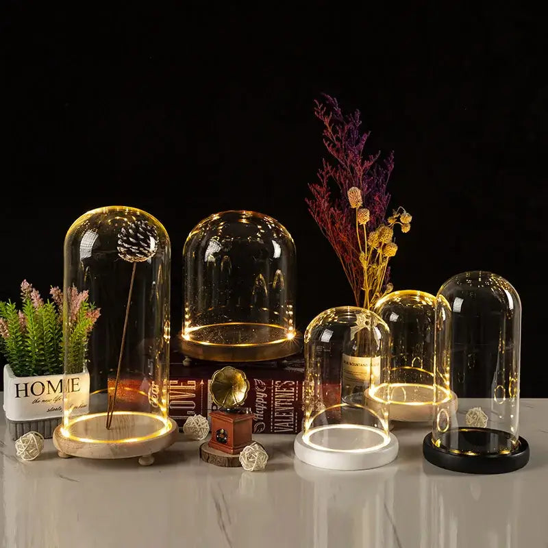 Glass bell jar terrarium with led fairy lights bedroom decor