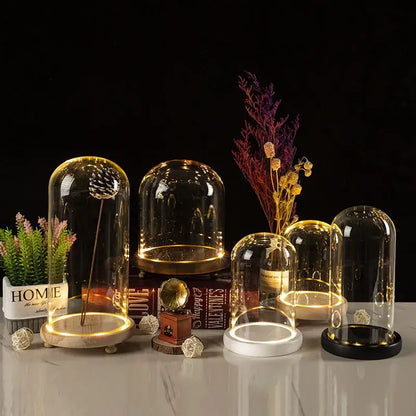 Glass bell jar terrarium with led fairy lights bedroom decor