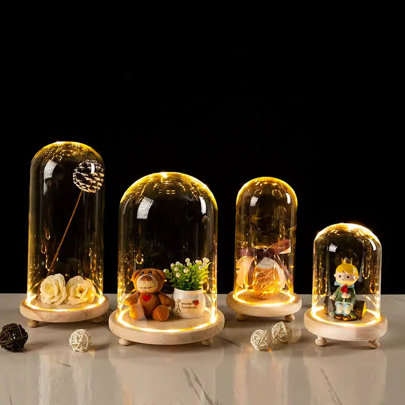 Glass bell jar terrarium with led fairy lights bedroom decor
