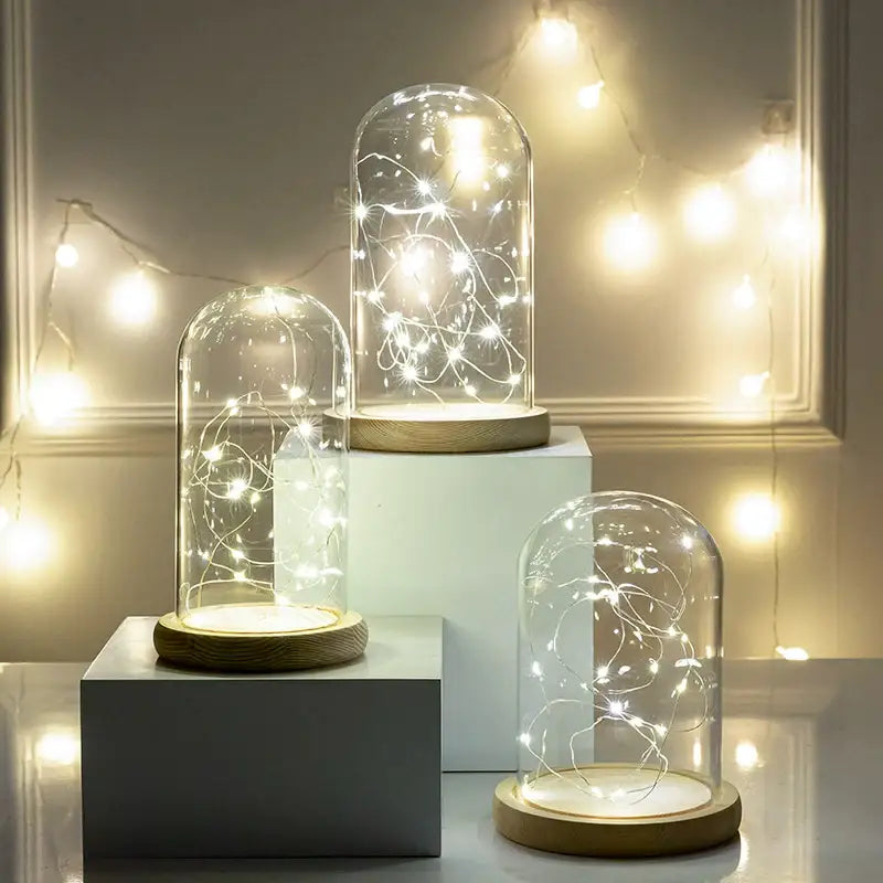 Glass bell jar terrarium with led fairy lights bedroom decor