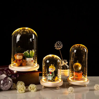 Glass bell jar terrarium with led fairy lights bedroom decor