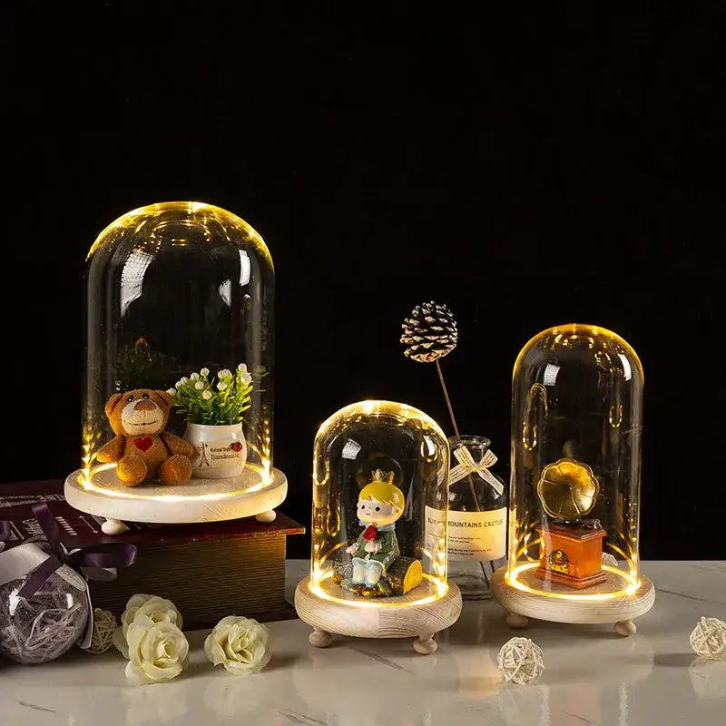 Glass bell jar terrarium with led fairy lights bedroom decor