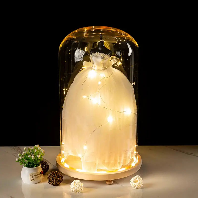 Glass bell jar terrarium with led fairy lights bedroom decor