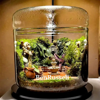 Miniature moss garden landscape glass terrarium living room decor