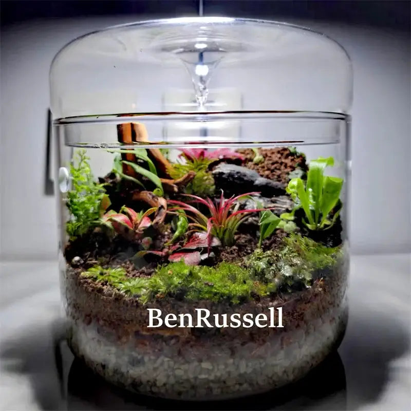 Miniature moss garden landscape glass terrarium living room decor