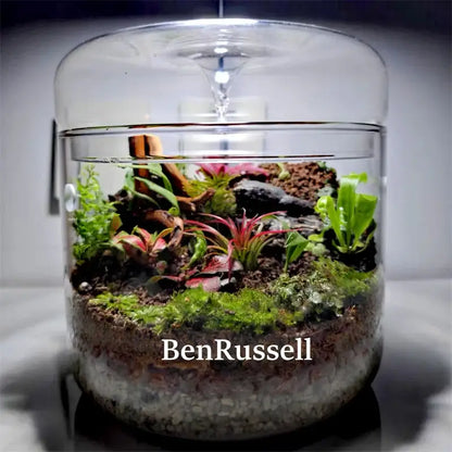 Miniature moss garden landscape glass terrarium living room decor