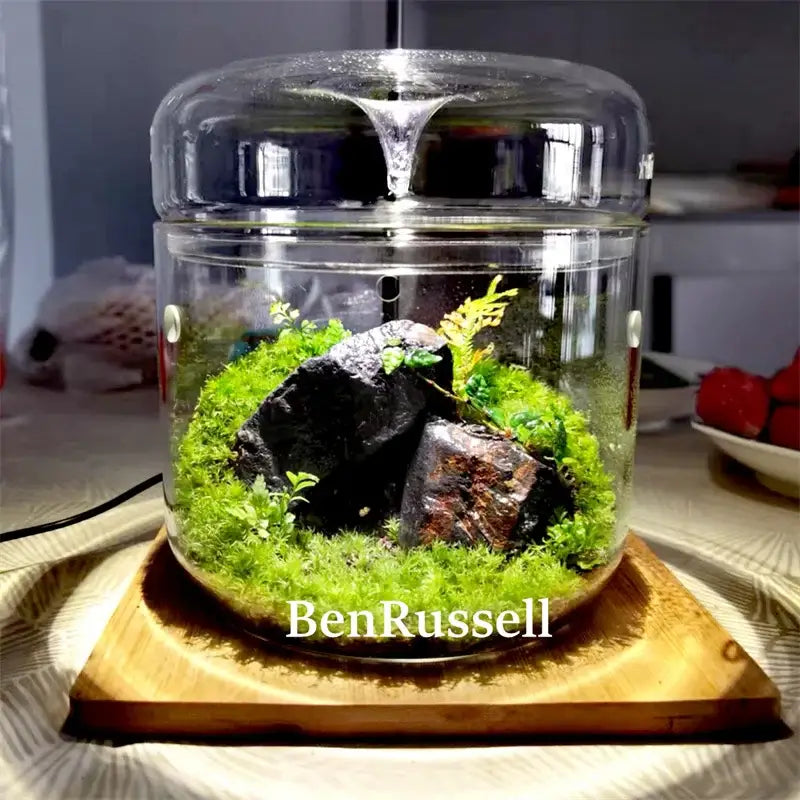 Miniature moss garden landscape glass terrarium living room decor