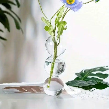 Clear glass bubble hydroponic vase wedding and living room decor