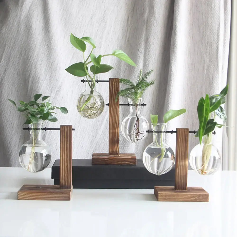 Modern five piece glass bulb vase with wooden stand living room decor