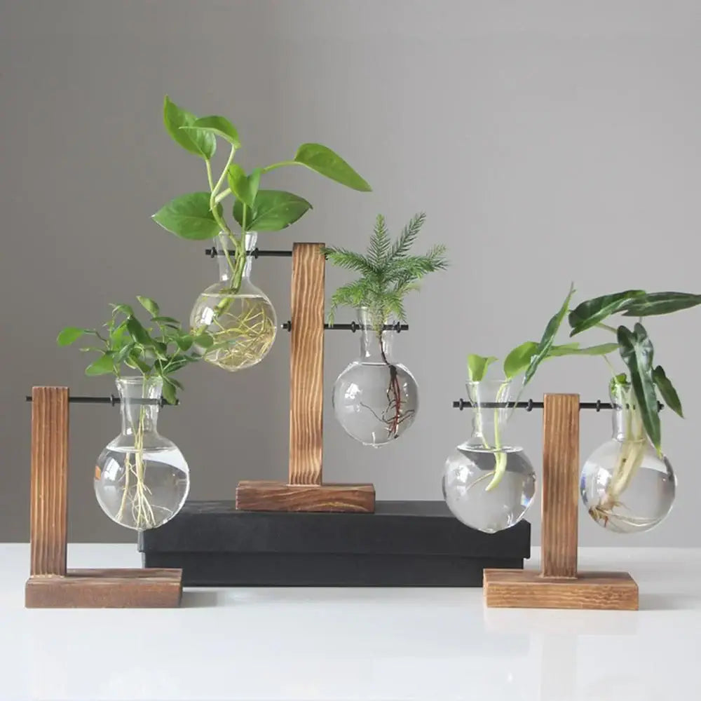 Modern five piece glass bulb vase with wooden stand living room decor