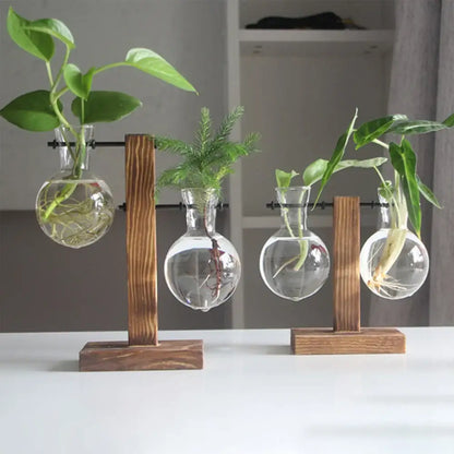 Modern five piece glass bulb vase with wooden stand living room decor