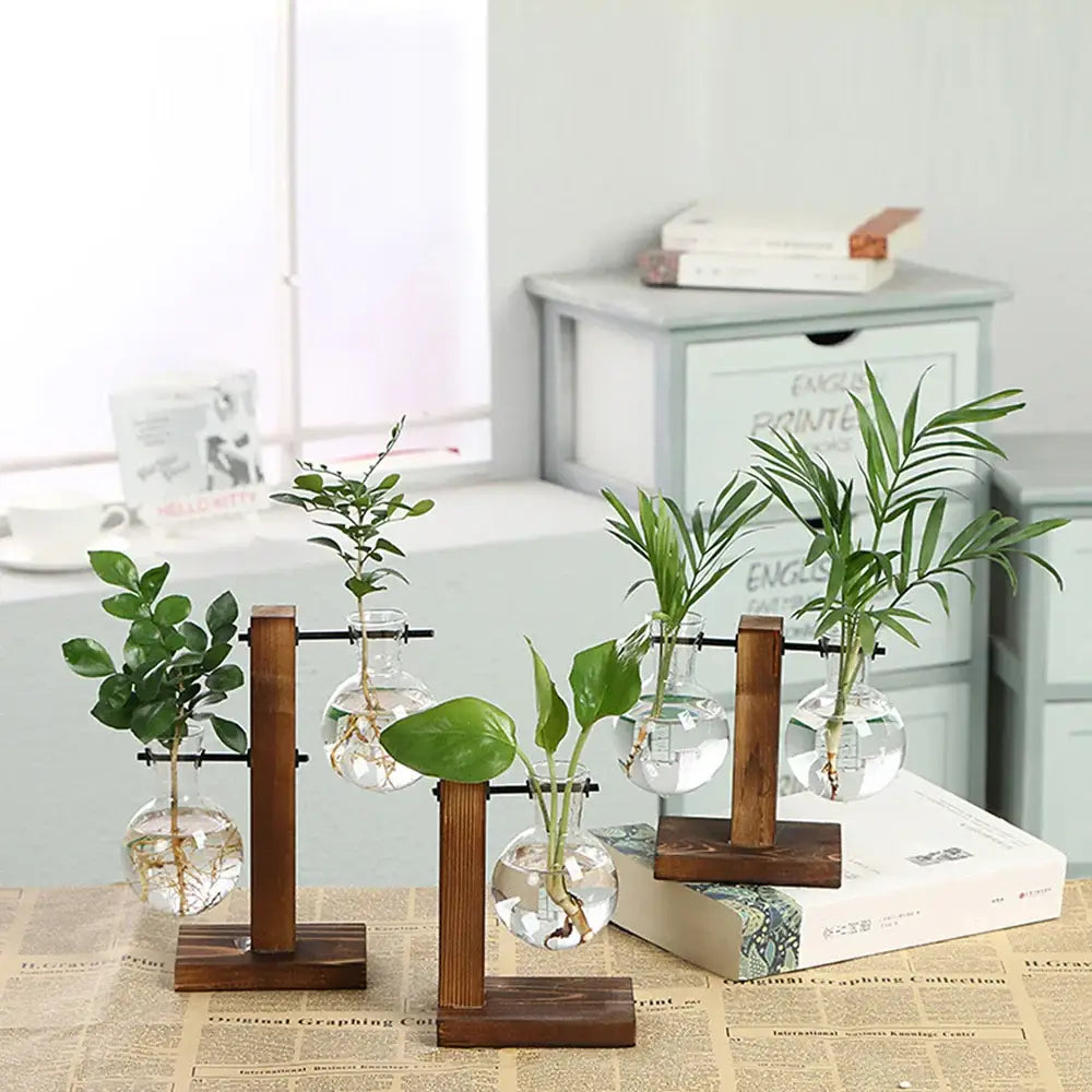 Modern five piece glass bulb vase with wooden stand living room decor