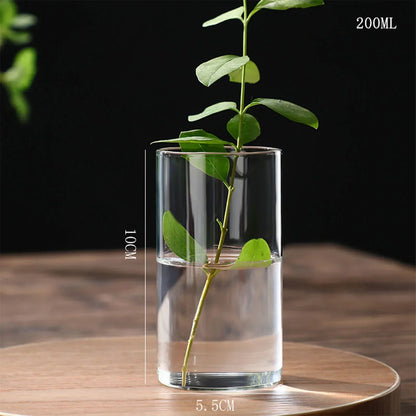 DecorBites™ Glass Hydroponic Desktop Planter Vase