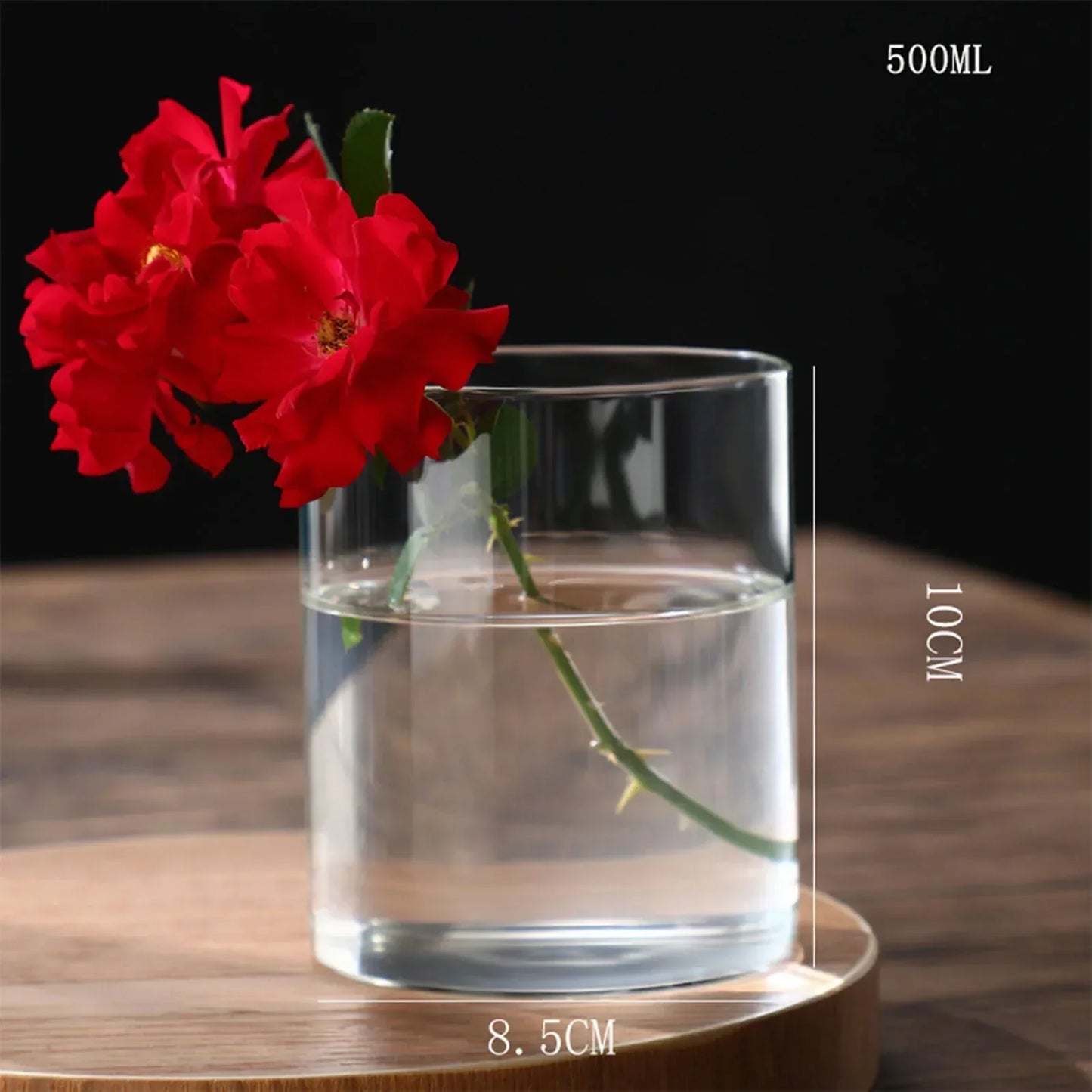 DecorBites™ Glass Hydroponic Desktop Planter Vase
