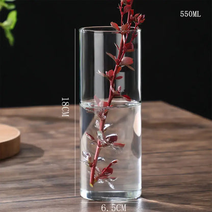 Modern ribbed clear glass flower vase desktop living room planter