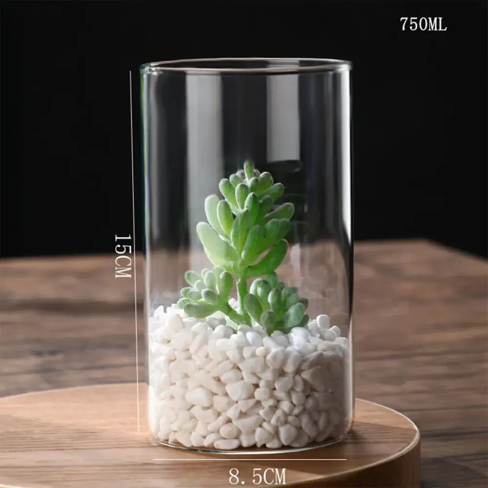 Modern ribbed clear glass flower vase desktop living room planter