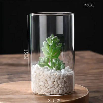 Modern ribbed clear glass flower vase desktop living room planter