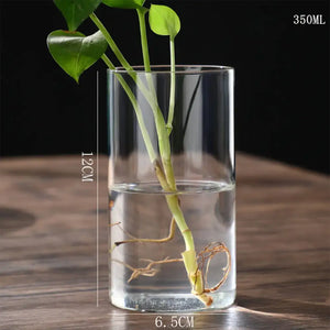 Modern ribbed clear glass flower vase desktop living room planter
