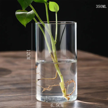Modern ribbed clear glass flower vase desktop living room planter