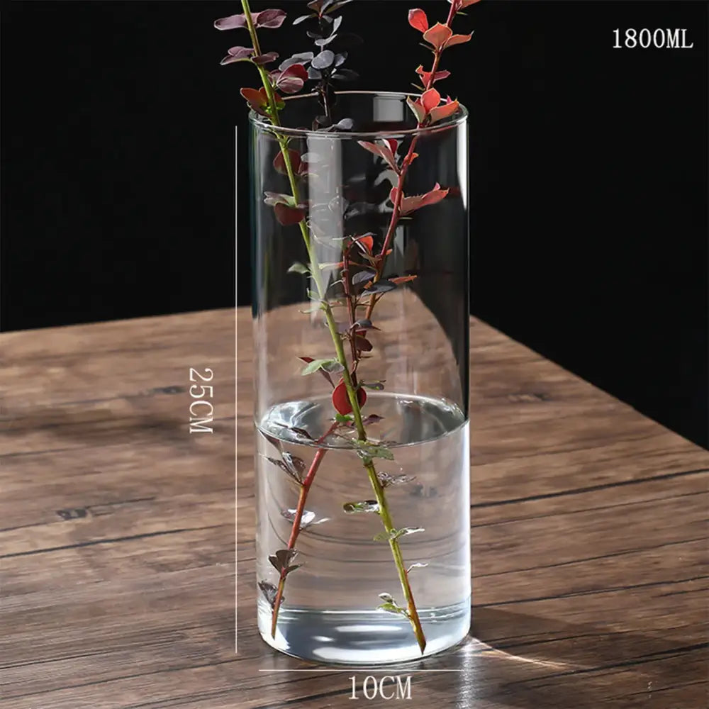 Modern ribbed clear glass flower vase desktop living room planter