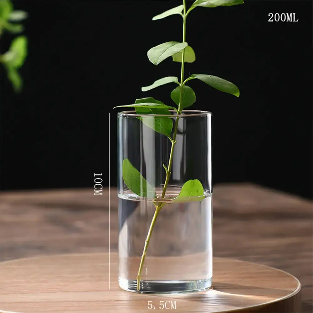 Modern ribbed clear glass flower vase desktop living room planter