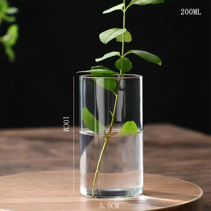 Modern ribbed clear glass flower vase desktop living room planter