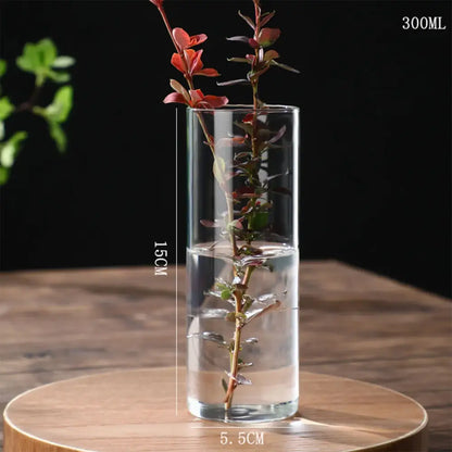 Modern ribbed clear glass flower vase desktop living room planter