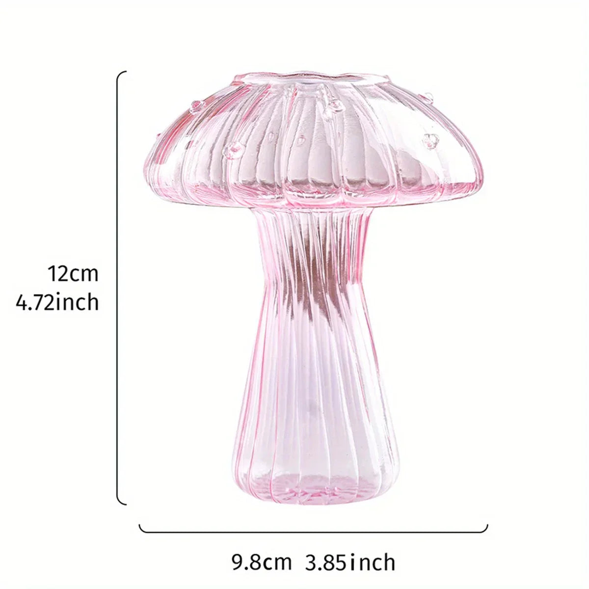 DecorBites™ Glass Mushroom Hydroponic Planter for Home & Garden