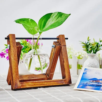 Triangular wood and glass planter propagation station for living room