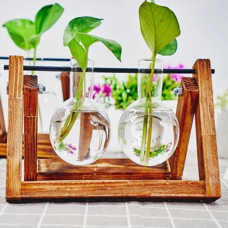 Triangular wood and glass planter propagation station for living room