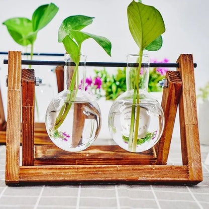 Triangular wood and glass planter propagation station for living room