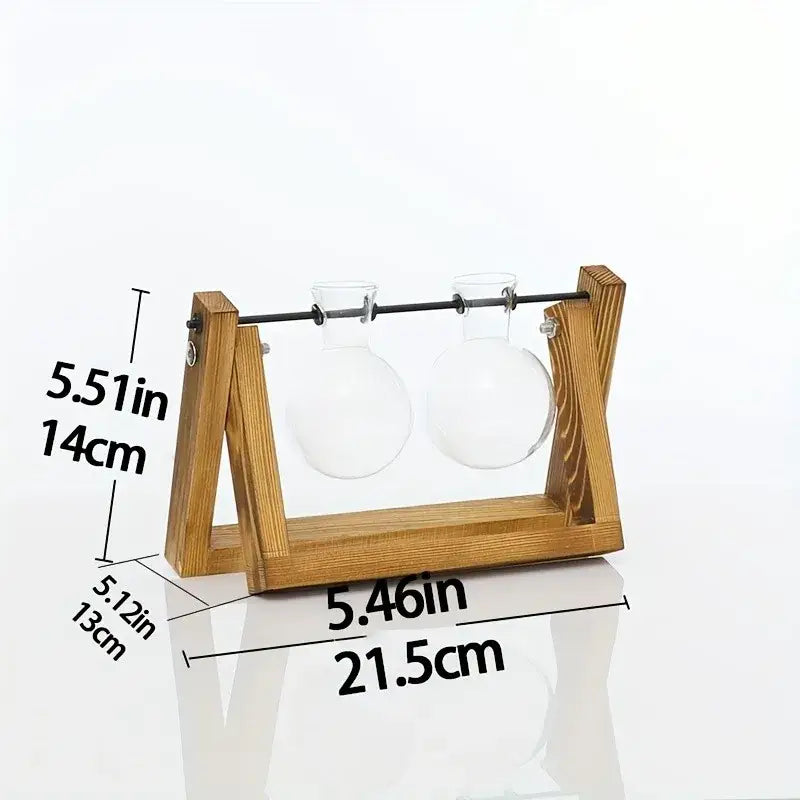 Triangular wood and glass planter propagation station for living room