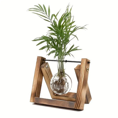 Triangular wood and glass planter propagation station for living room