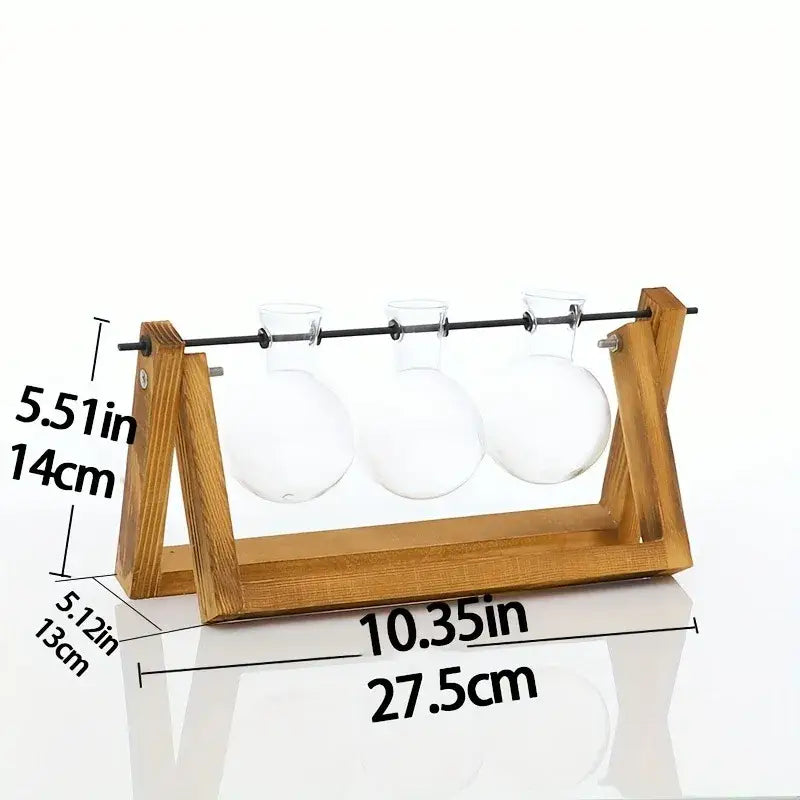Triangular wood and glass planter propagation station for living room