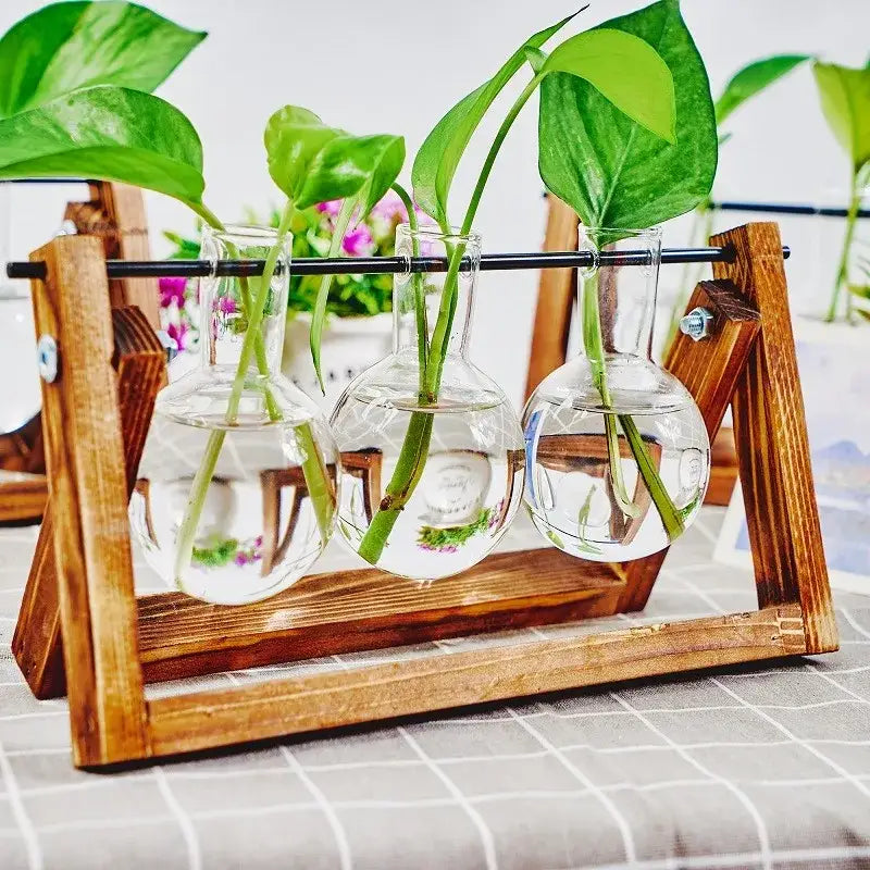 Triangular wood and glass planter propagation station for living room