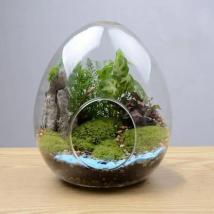 High quality glass egg-shaped terrarium set for living room decor