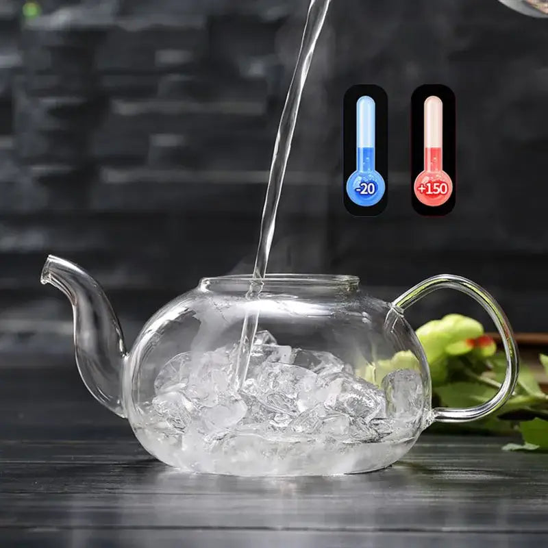 Modern glass teapot flower tea set kitchen infuser