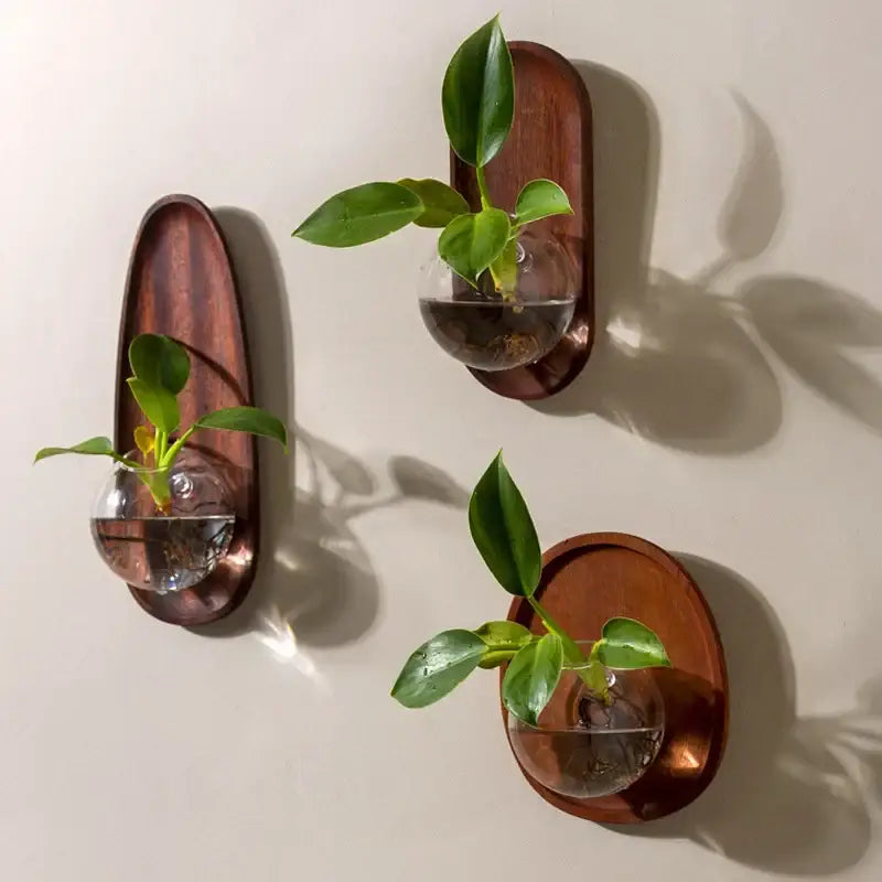 Modern wood and glass vase flowerpot wall decoration living room