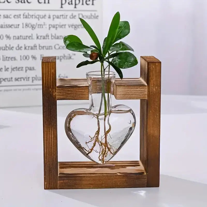 Rustic heart hydroponic plant glass vase living room decor