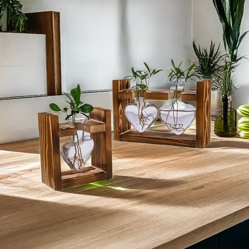 Rustic heart hydroponic plant glass vase living room decor