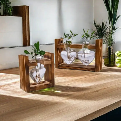 Rustic heart hydroponic plant glass vase living room decor