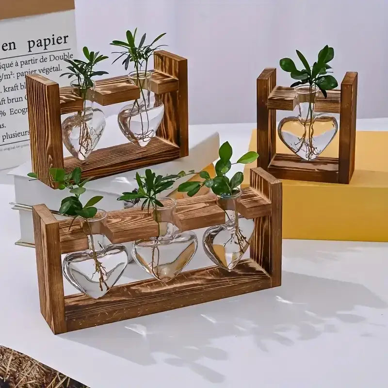 Rustic heart hydroponic plant glass vase living room decor