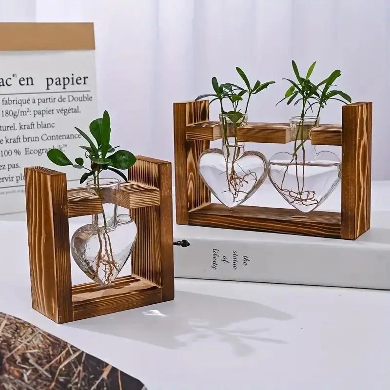 Rustic heart hydroponic plant glass vase living room decor